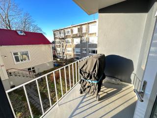Cosy apartment in downtown Reykjavik - Reikiavik - 1