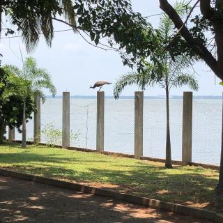 Hotel Lagoon Paradise - Negombo - 6