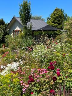 Tasman Village Cottage - Tasman - 8