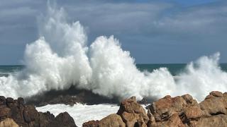 Seaview Happy Whale - Bettyʼs Bay - 6