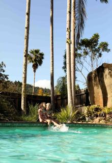 Mt Warning Rainforest Park - - 1