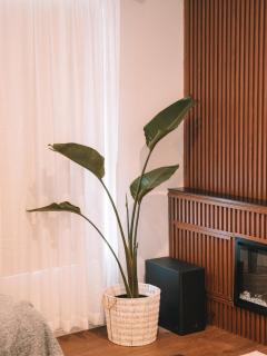 La Plage - A Cosy Cottage in Phillip Island - Cowes - 4