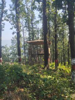 Kanaar Jungle View Resort - Rishikesh - 6