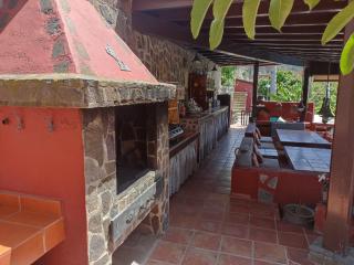 The Palm Villa - Icod de los Vinos - 4
