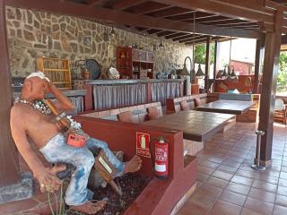 The Palm Villa - Icod de los Vinos - 5
