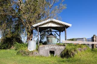 Les Géraniums - La Plaine des Cafres - 8