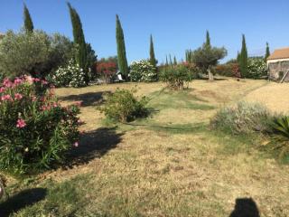 Perpignan dans OLIVERAIE très beau gîte 11 pers - Perpignan - 6