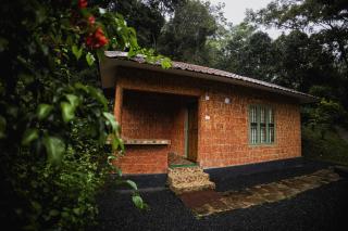 Mahout Resort Wayanad - An Experiential Jungle Stay with Waterfall - Kalpetta - 4