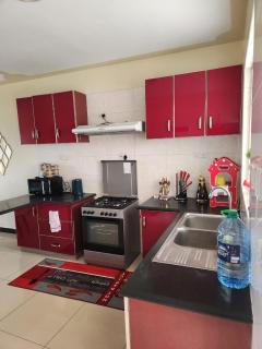 Karora's 2 BEDROOM NEST - Nairobi - 4