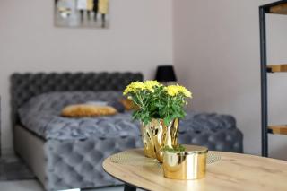 Dzintara apartamenti - Kuldīga - 6