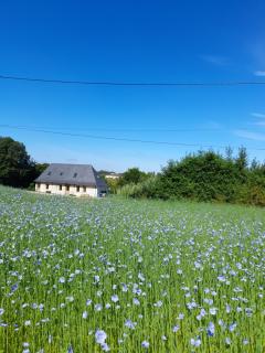 Gîte de la giroterie, maison à la campagne au calme, vue sur la vallée - - 7