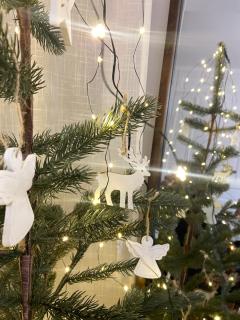 Petit cocon rien que pour vous ! - 7