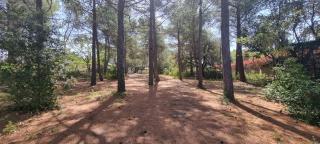 Chambre d'hôte BB proche d'Aix en Provence - 8