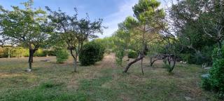 Chambre d'hôte BB proche d'Aix en Provence - Éguilles - 9