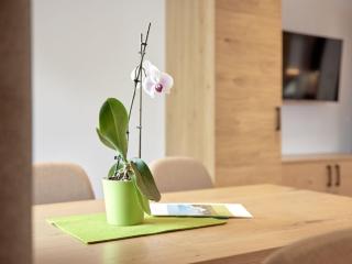 Apartment s`Groasse am Hannesnhof by Interhome - Längenfeld - 5