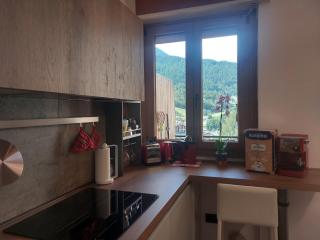MGH Family Apartment Aprica - Gran Paradis - 6