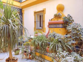 ESTUDIO RUFINA.Tranquilidad ,Alameda de Hércules! - Sevilla - 8