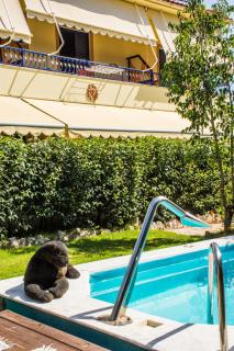 Kalypso Studios & Apartments - Karavomylos - 9