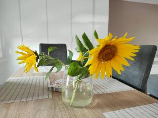 Apartament VIP Perła Śląska - Pszczyna - 2