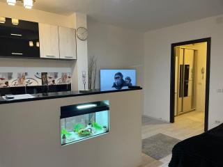 Fancy Studio Arena Nationala - Bucarest - 5