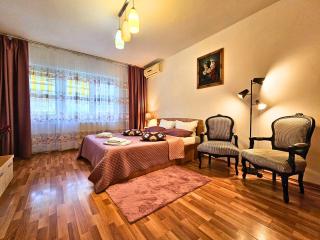 Studio Brancusi by Rosuites - Bucharest - 5