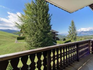 Studio cosy à Megève, 4 pers, balcon extérieur, animaux admis, parking - FR-1-453-58 - Megève - 5