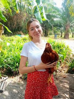 YaoIsland Resort and Farm - Ko Yao Yai - 1