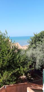 Il Verde Ulivo - Funtana Meiga - 2