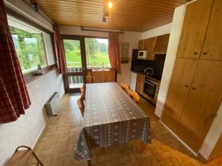 Appartement cosy et lumineux proche des télécabines, avec balcon et parking, animaux acceptés ! - FR-1-692-33 - La Chapelle-dʼAbondance - 7