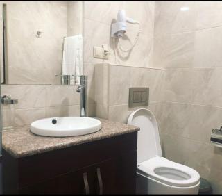 Apartment in Pavstos Buzand Street,Near Republic Squere - Yerevan - 7