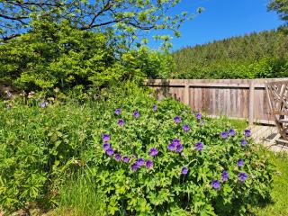 The Holt - a cosy bolthole on a wildlife reserve with hot tub -Exmoor 7m - 6