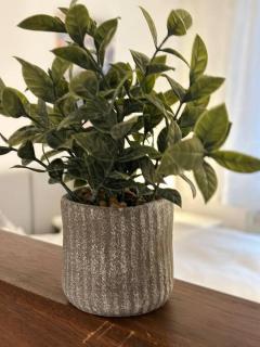 Ferienwohnung zur Sternblume - 7