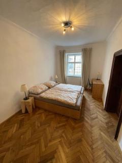 Altstadt Apartment - Steyr - 8