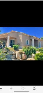 Villa les oliviers - Olmeto - 7
