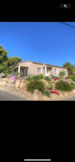 Villa les oliviers - Olmeto - 3