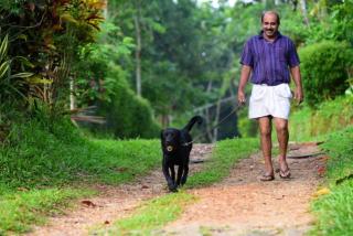 Greens Vista Wayanad - Premium Homestay Near Natural Stream - Panamaram - 6