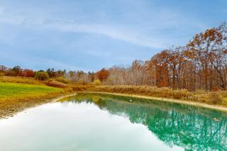 A Finger Lakes Favorite - Prattsburg - 6