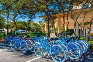 High Pointe W41 - Inlet Beach - 9