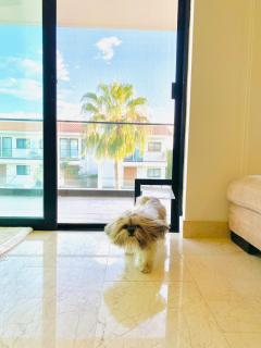 Espectacular Departamento en Club de Golf El Tigre - 3