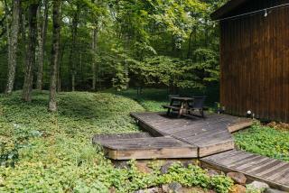 Finnwood - A Pet Friendly Woodland Retreat - Suttons Bay - 2