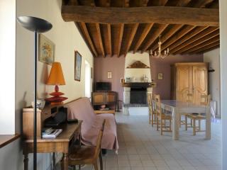 Charmante maison de ferme avec pigeonnier, jardin, cheminée et salle de jeux à Aufferville - FR-1-581-38 - - 9