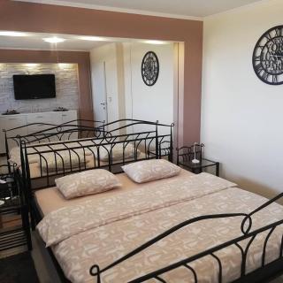 Holiday house with a swimming pool Novi Marof, Zagorje - 21983 - 2