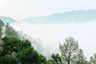 Valley Top 3 BHK Apartment for Families & Friends - Kasauli - 5