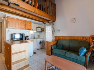 Pavillon climatisé 2 chambres + mezzanine, WiFi, parking, accès plage, Gruissan Ayguades - FR-1-409-205 - Gruissan - 9