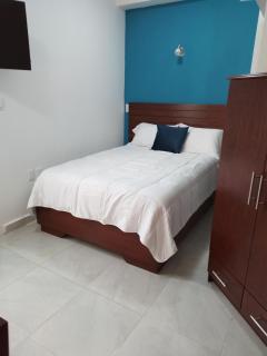 Lulu'u Índigo (pequeño Índigo) - Città di Oaxaca - 3