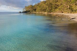 Nelson's Oasis By The Beach Studio - Vincentia - 7