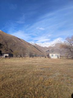 COZY house მყუდრო სახლი - 3