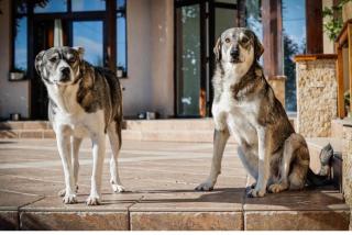 Pensiunea Cristina - 9