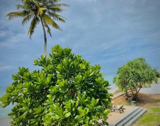 Sevenra Grand Beach Hotel - Ambalangoda - 5