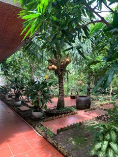 ISLAND HOMESTAY TIỀN GIANG - Ấp Tân An Thi - 4